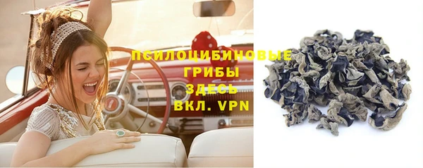 героин Белокуриха
