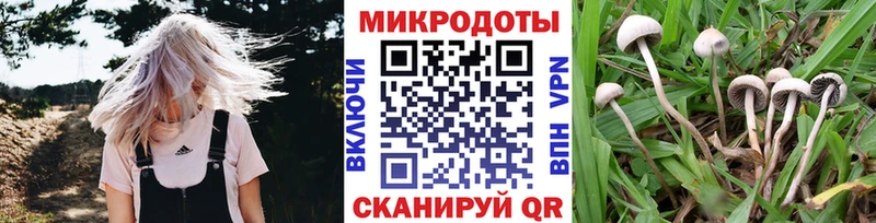 Псилоцибиновые грибы ЛСД Южа